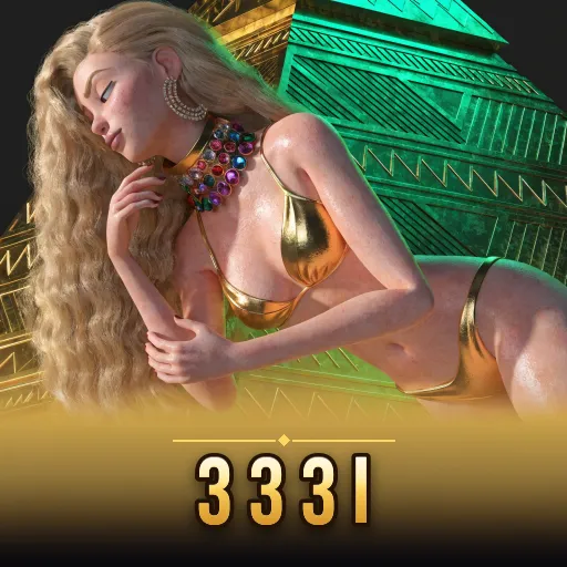 333i FAQ